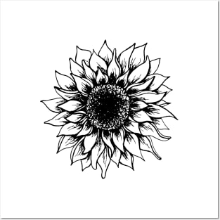 Black and White Sunflower | Artwork by Julia Healy Posters and Art